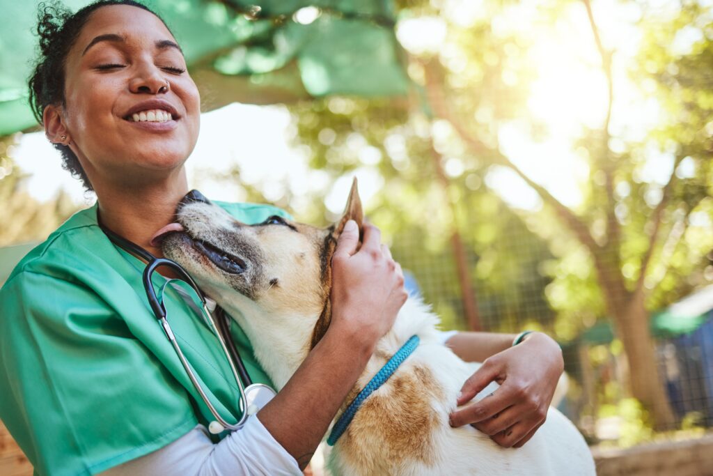 Your Best Choice for pet care