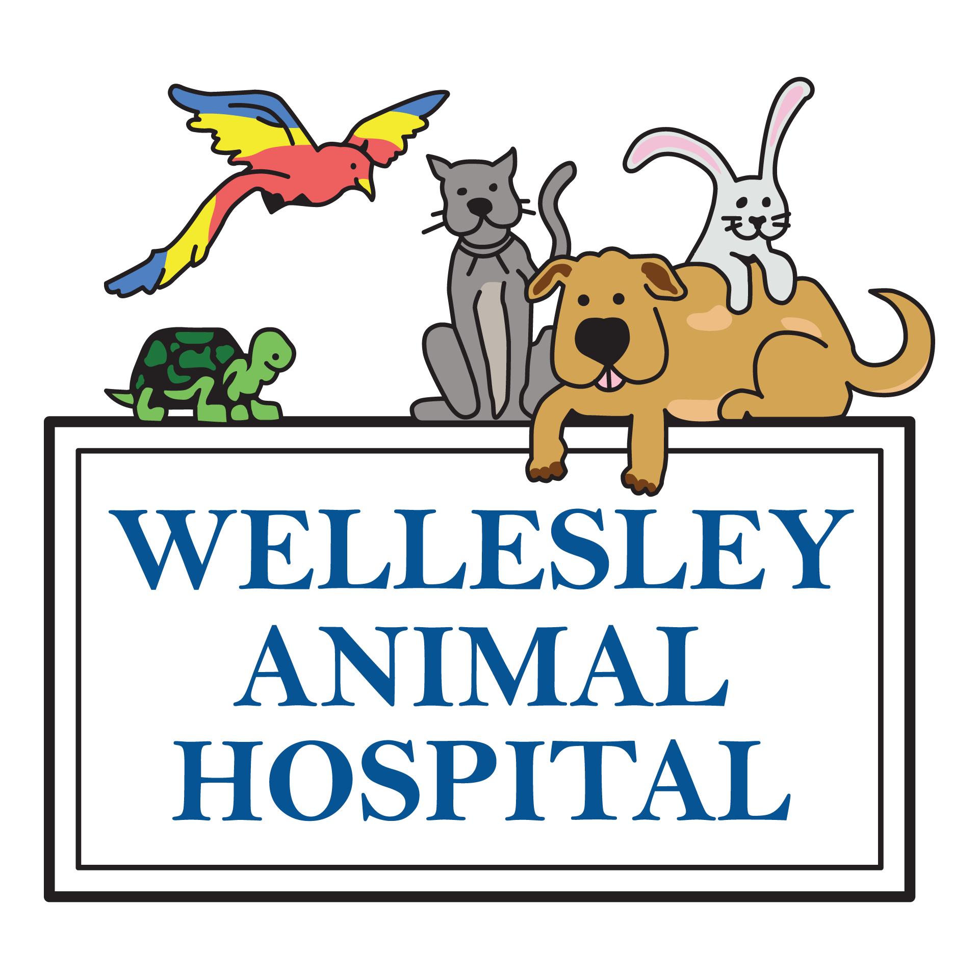 Wellesley Animal Hospital