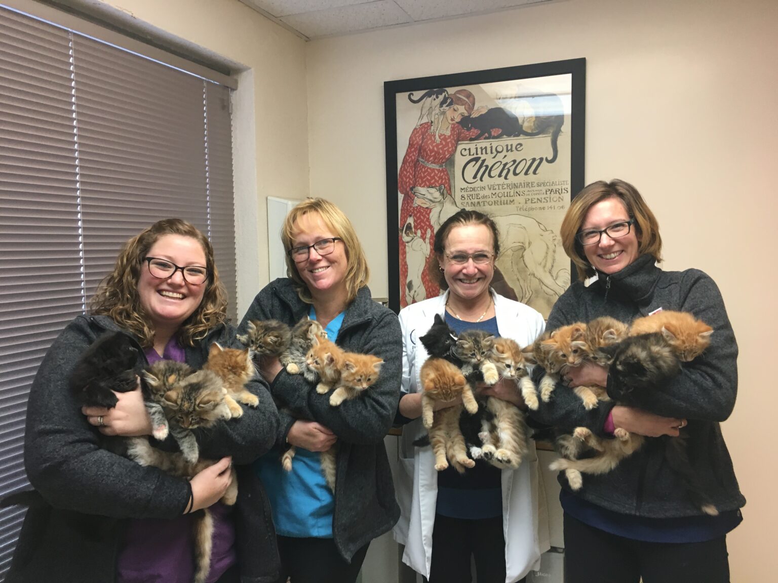 four team members from Wellesley Animal Hospital, each holding an arm full of fluffy kittens